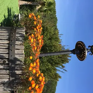 Domaine Du Mas De Peyres Apartment